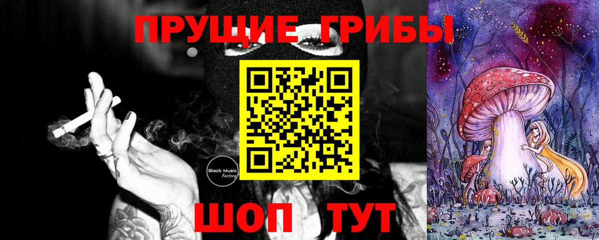 Армавир  Галлюциногенные грибы Psilocybe  Вход с VPN 