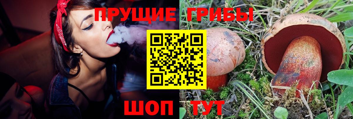 Псилоцибиновые грибы мухоморы Армавир